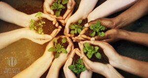 healing from trauma quotes photo of hands together with plants