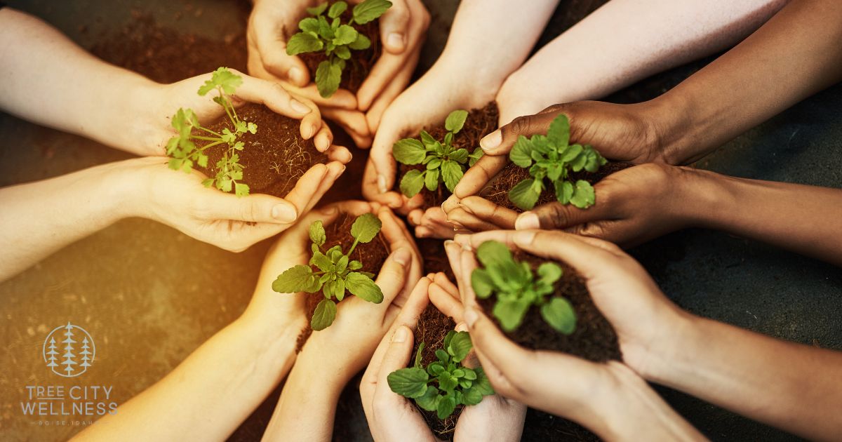 healing from trauma quotes photo of hands together with plants